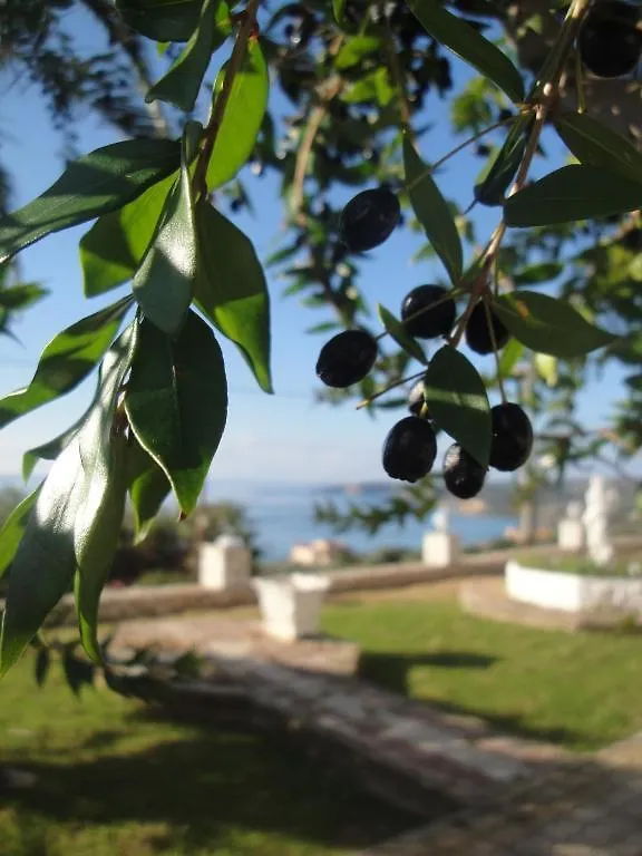 Ocean Front Studios 77 Lourdata  2*, Lourdata (Kefalonia) Greece